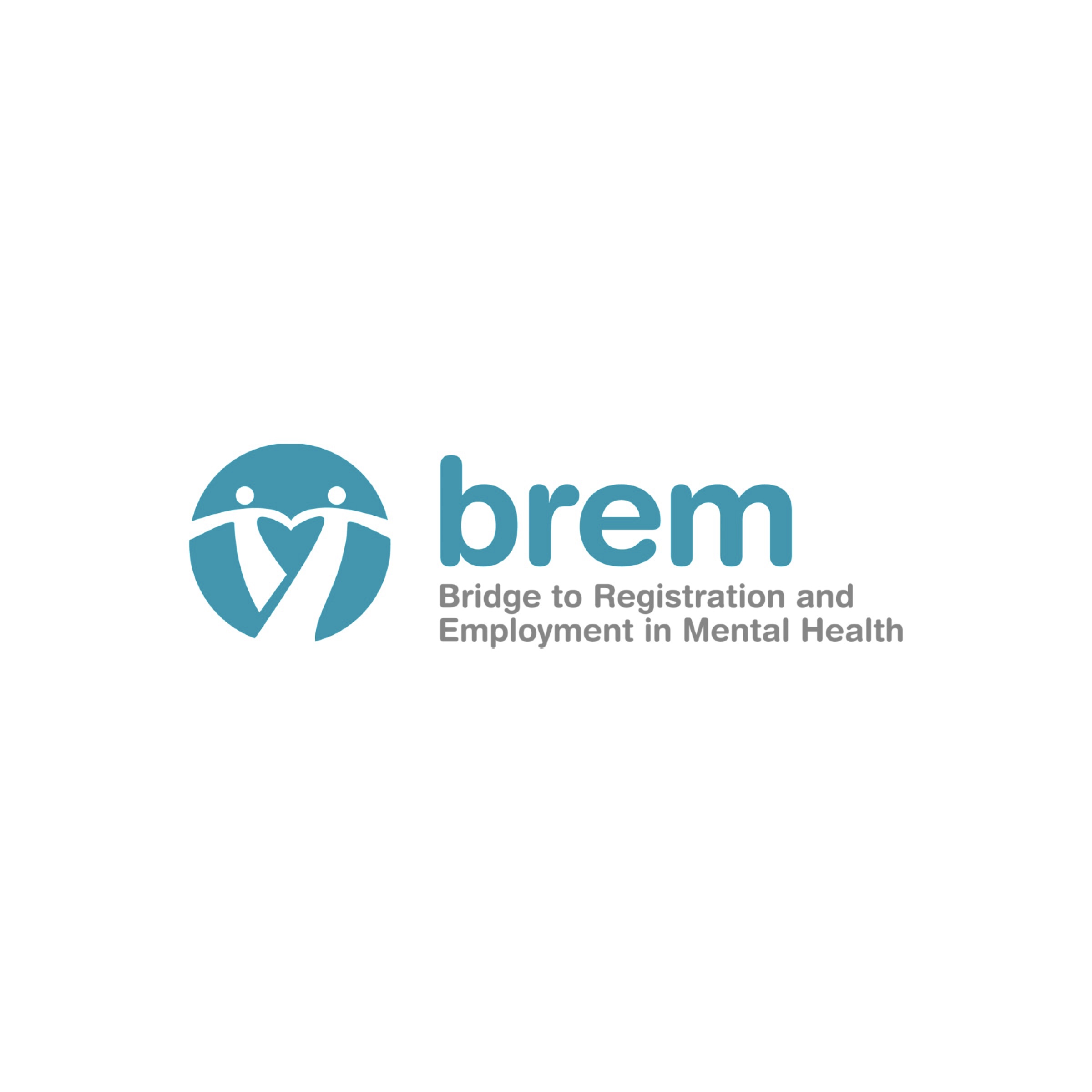 Brem Bridge Program 