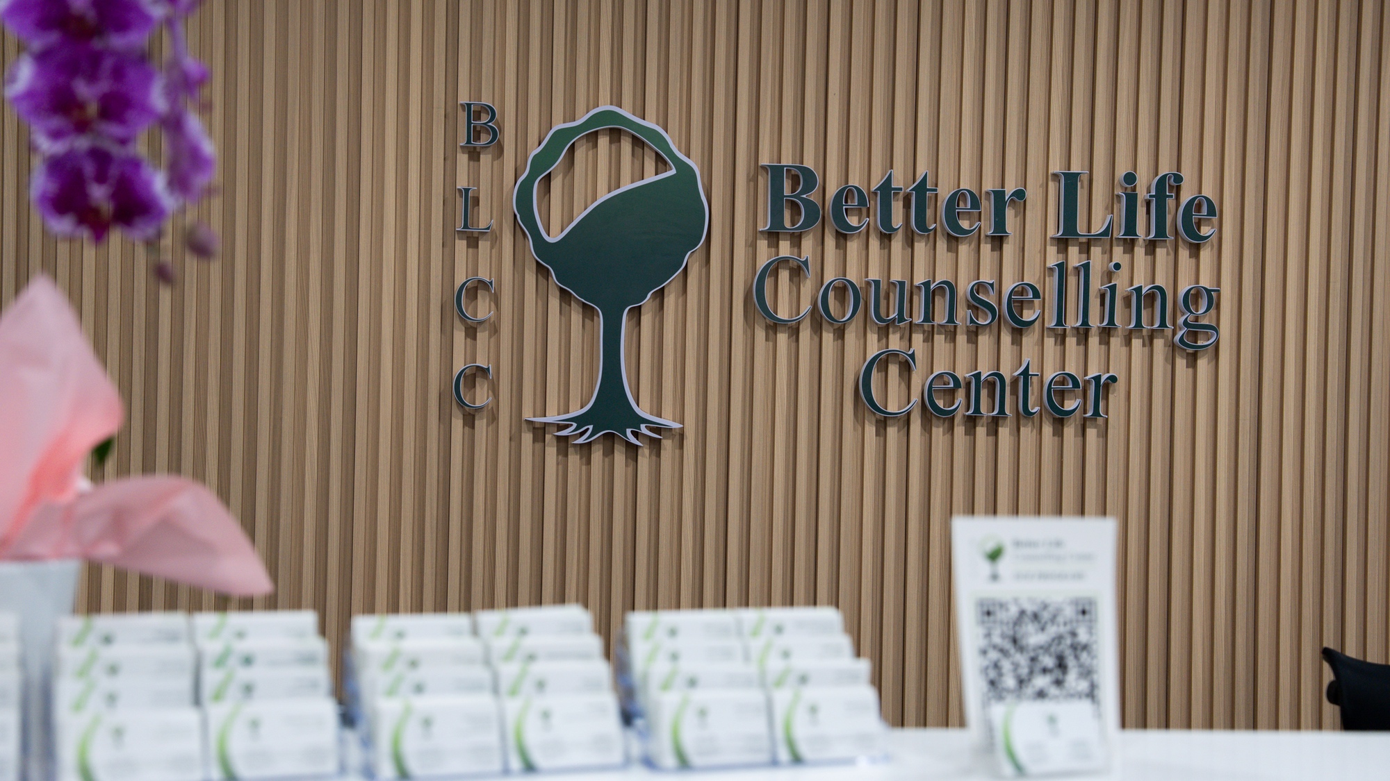 Better Life Counselling Center - BLCC